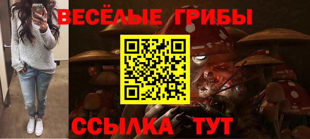 Чайковский  Псилоцибиновые грибы MAGIC MUSHROOMS  Галлюциногенные грибы Cubensis  Вход с VPN 